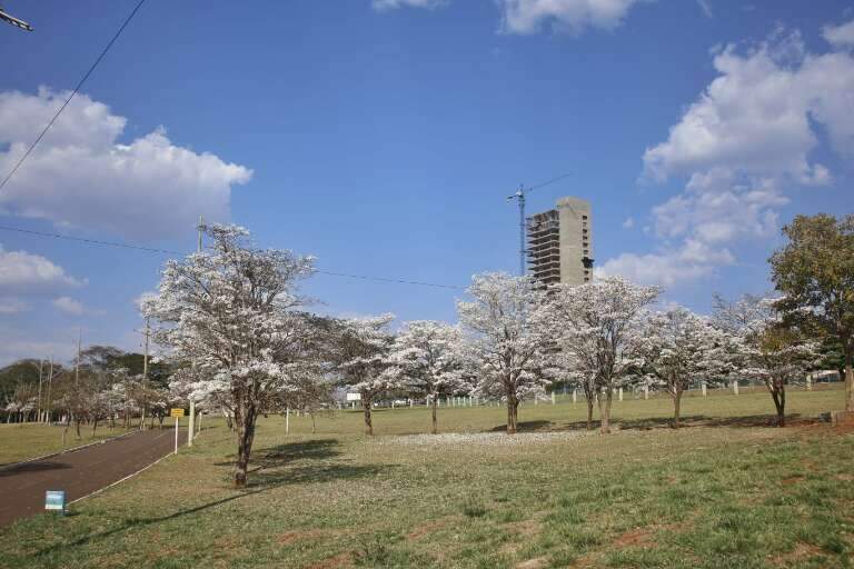 Campo Grande News