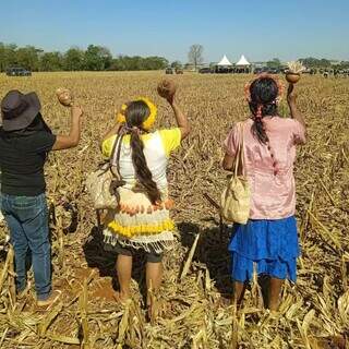 Indígenas de um lado e fazendeiros acampados do outro em Douradina (Foto: Divulgação/Conselho Indigenista Missionário)