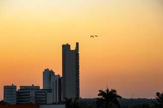 Céu aberto nesta manhã em Campo Grande (Foto: Henrique Kawaminami)