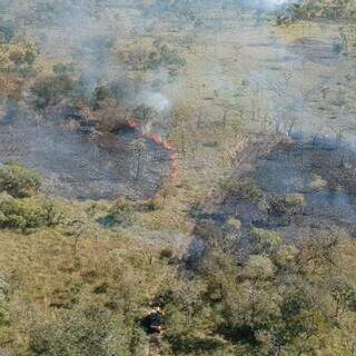 Área itingida por incêndio em 2023; ainda não foram divulgadas imagens do prejuízo atual (Foto: Reprodução/Instagram/Associação de Brigadistas Indígenas da Nação Kadiwéu)