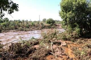 Área rural ficou coberta por lamaçal após rompimento de barragem (Foto: Henrique Kawaminami)