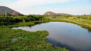 Corixo formado após o período de cheia, no Pantanal de Corumbá (Foto: Alex Machado/Arquivo)