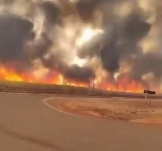 Fogo em canavial às margens da BR-163 entre Sonora e Rondonópolis (Foto: Direto das Ruas)