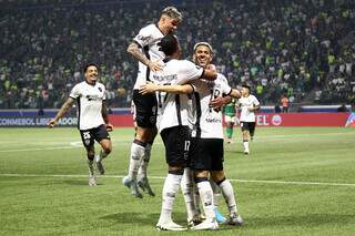 Jogadores do Botafogo comemorando segundo gol no Estádio Allianz Parque (Foto: Vitor Silva/Botafogo)