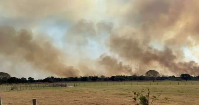 Cr&eacute;dito de R$ 300 milh&otilde;es poder&aacute; ser liberado aos afetados pelo fogo e seca