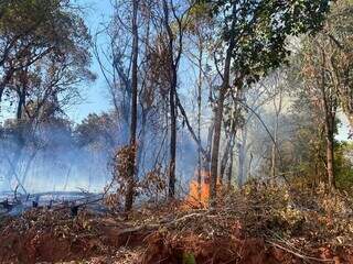 Foco de incêndio permanece em parte do terreno (Foto: Clara Farias)