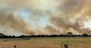 Incêndios que consumiram 85% da área de uma fazenda localizada no Pantanal de Corumbá (Foto: Reprodução/Arquivo pessoal)