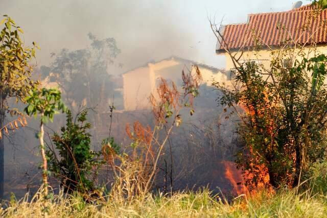 Inc&ecirc;ndio em terreno pr&oacute;ximo a condom&iacute;nio preocupa moradores