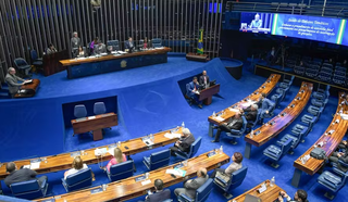 Senadores durante os trabalhos em plenário (Foto: Saulo Cruz/Agência Senado)