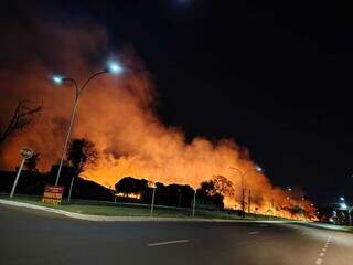 Fogo tomou conta de terreno cercado com aceiros (Foto: Direto das Ruas)