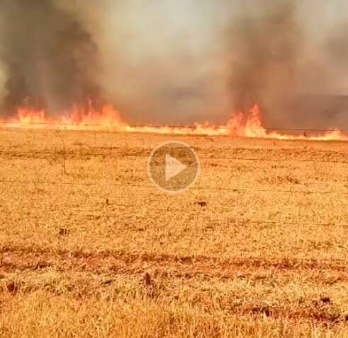 Prefeitos de Camapu&atilde; e Tr&ecirc;s Lagoas pedem ajuda em meio aos inc&ecirc;ndios