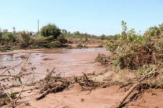 Parte da vegetação destruída pelo rompimento da barragem (Foto: Henrique Kawaminami)