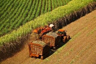 Máquina opera na colheita da cana cultivada em usina; estiagem acentuada preocupa produtores. (Foto: Divulgação/CTC) 