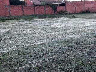 Gramado coberto por camada fina de gelo em Rio Brilhante também (Foto: Diego Batistoti, do RB Notícias) 