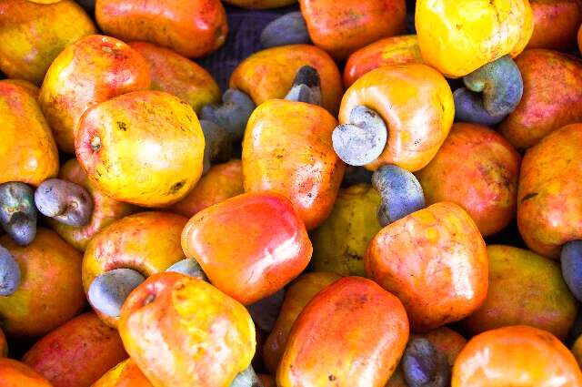 Gostou do Caju de Liniker? Fruta é completa e ainda está na estação