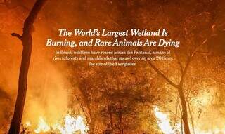 Chamada de reportagem sobre o Pantanal: &#34;O maior pantanal do mundo está queimando, e animais raros estão morrendo&#34;. (Foto: Reprodução