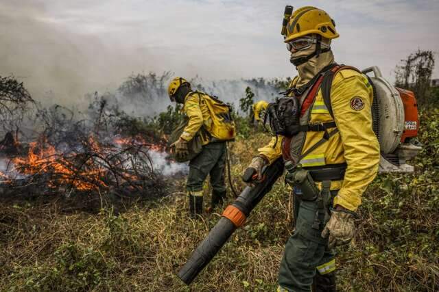 Ibama autoriza contrata&ccedil;&atilde;o de 144 brigadistas para combate ao fogo 