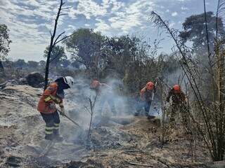 Combate a incêndio florestal na região do Pantanal (Foto/Arquivo)