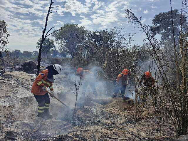 Governo federal reconhece desastre por inc&ecirc;ndios florestais em Miranda