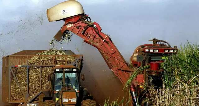 Produ&ccedil;&atilde;o de cana em MS pode cair 20% com mudan&ccedil;as clim&aacute;ticas