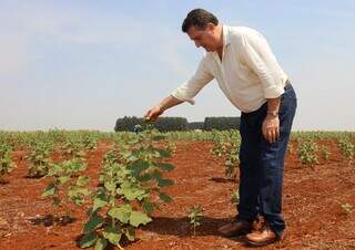 João Carlos mostra uma planta que ainda vai brotar flor (Foto: Osmar Veiga)