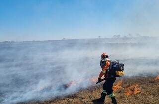 Brigadista atua em combate a incêndio no Pantanal de Mato Grosso do Sul (Foto: Governo de MS)