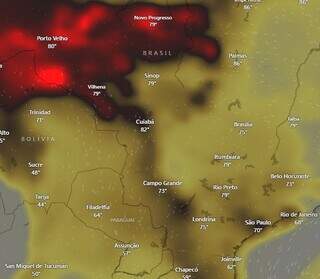 Mancha escura de partícula de dióxido de carbono sobre Campo Grande e direção dos ventos (Foto: Windy)