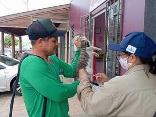 Aplicação de vacina antirrábica em gato, no Bairro Tiradentes (Foto: Idaicy Solano/Arquivo)