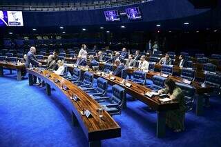 Plenário do Senado durante sessão especial realizada nesta segunda-feira (2). (Foto: Pedro França)