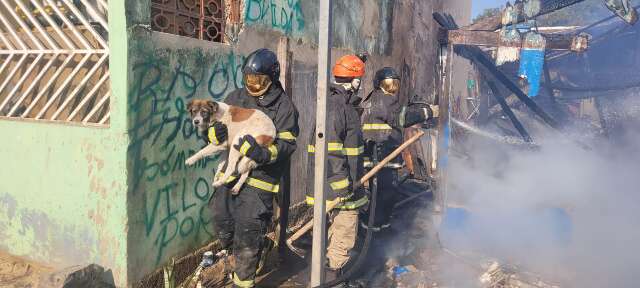 S&oacute; sobrou o cachorro: casa &eacute; destru&iacute;da em inc&ecirc;ndio em Corumb&aacute;