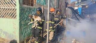 Cachorro se refugiou no fundo do quintal e foi resgatado por bombeiro (Foto: Direto das Ruas)