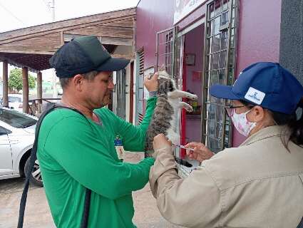 S&oacute; 10% dos c&atilde;es e 7% dos gatos da Capital foram vacinados contra raiva