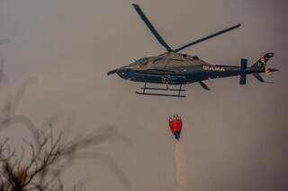 Aeronaves menores que já estão em atuação no bioma (Foto: Divulgação)