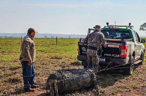 Possível lixo espacial, cilindro metálico é encontrado em fazenda de MS