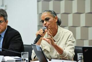 Ministra do Meio Ambiente e Mudança do Clima, Marina Silva, em pronunciamento na Comissão de Meio Ambiente do Senado (Foto: Roque de Sá/Agência Senado)