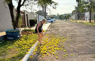  Neiva coletando flores para desidratar e fazer arranjos (Foto: Arquivo pessoal)