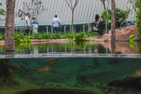 Bioparque terá horário especial de visitação no feriado de Independência