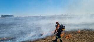 Bombeiro militar durante combate a incêndios no Pantanal (Foto: CBM/MS)