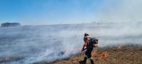 Governo sanciona quadro de bombeiros temporários com salário inicial de R$ 3.815