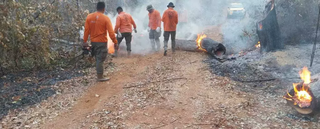 Brigadistas brasileiros tentando impedir o fogo de invadir lado brasileiro, em julho deste ano (Foto: Divulgação/IHP) 