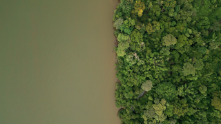 Document&aacute;rio mostra impactos de hidrel&eacute;trica que &ldquo;afogou&rdquo; pantanalzinho em MS 