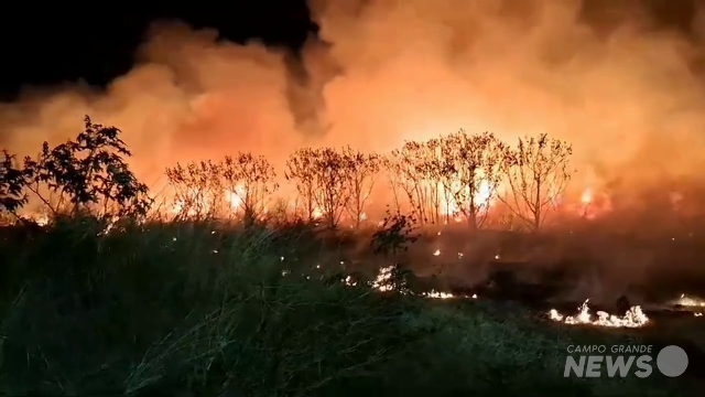 Inc&ecirc;ndio engole vegeta&ccedil;&atilde;o &agrave;s margens da rodovia BR-163