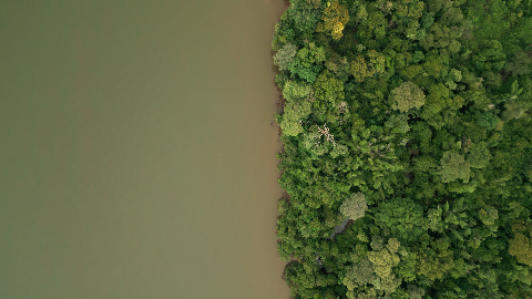 Documentário mostra impactos de hidrelétrica que “afogou” pantanalzinho em MS 