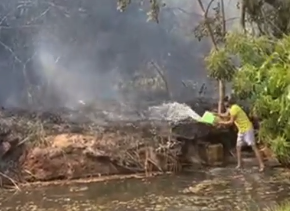 Moradores usam baldes para combater fogo que voltou a atingir área de vegetação