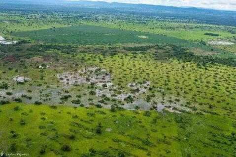 MP mant&eacute;m inqu&eacute;rito sobre desmatamento mesmo ap&oacute;s Lei do Pantanal