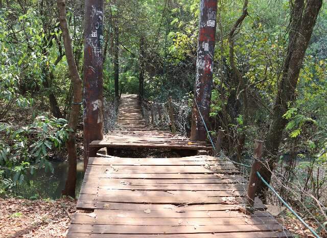 Parque em &aacute;rea nobre &eacute; abandonado, tem lixo e vizinhos temem inc&ecirc;ndio florestal