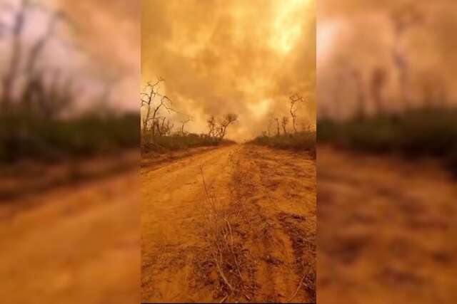 Inc&ecirc;ndios devastam Chaco paraguaio e moradores relatam &ldquo;filme de terror&rdquo;
