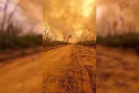 Inc&ecirc;ndios devastam Chaco paraguaio e moradores relatam &ldquo;filme de terror&rdquo;