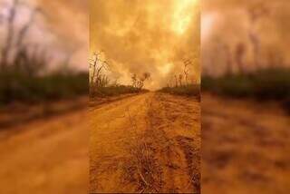 Inc&ecirc;ndios devastam Chaco paraguaio e moradores relatam &ldquo;filme de terror&rdquo;