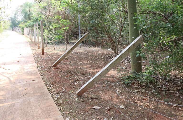 Campo Grande News